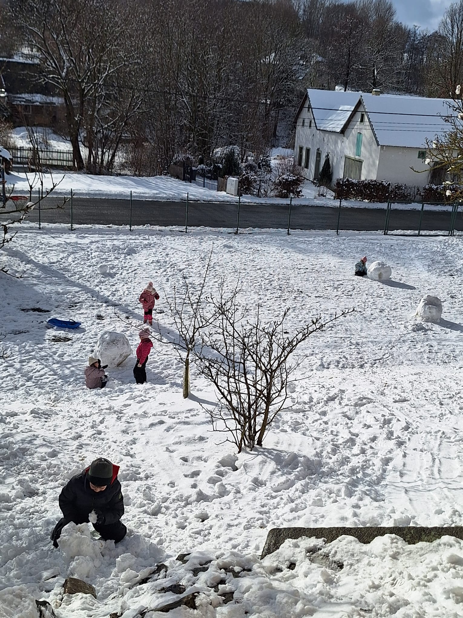 06D22BD8-DEC5-433C-835C-B7FB6446AD8F