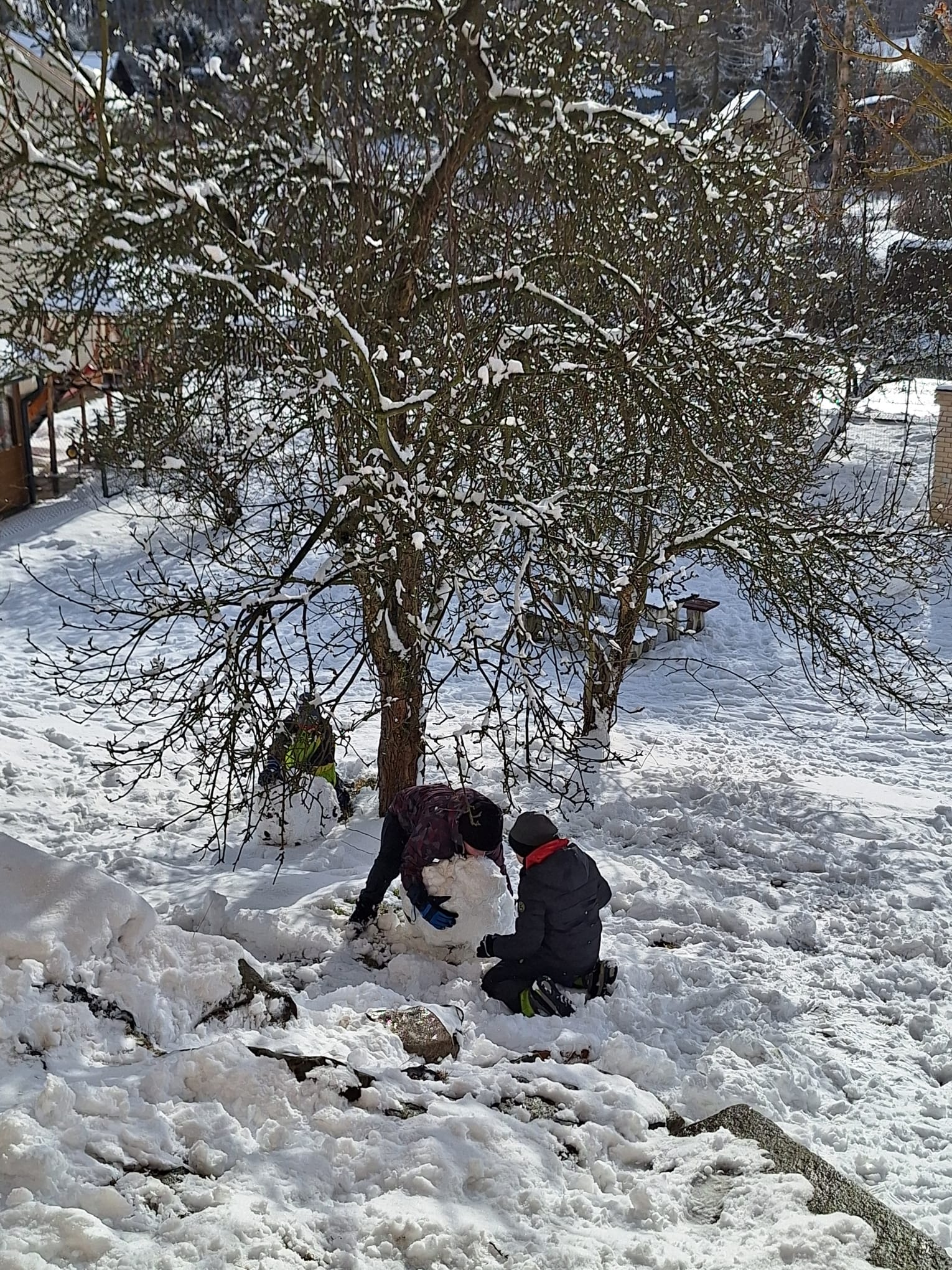 F5915752-01D5-4664-91F9-09FA8DFA3664