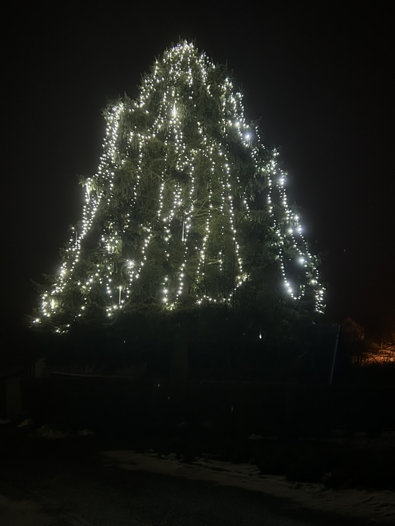 5272E207-E8AC-4D92-82AC-6150D86BC785_1_105_c